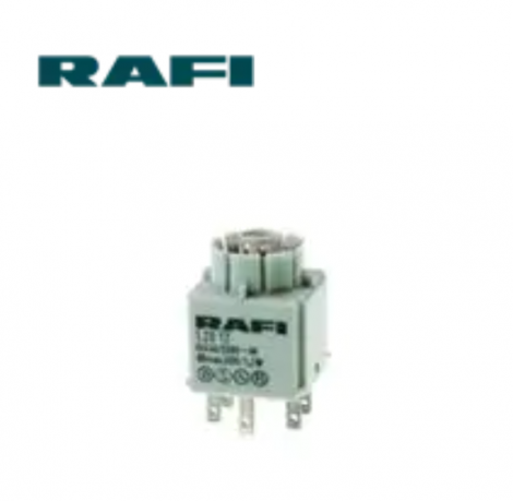 1.20.122.021/0000 | RAFI | Контакт