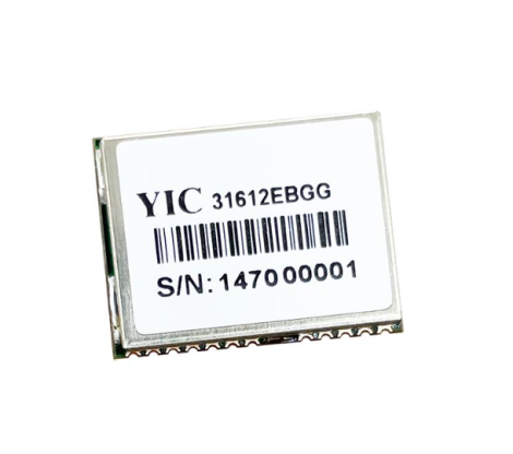 YIC51009EBGG-33 | YIC | Модуль