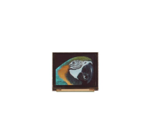 MDOB128032GV-WI | Midas Displays | Дисплей